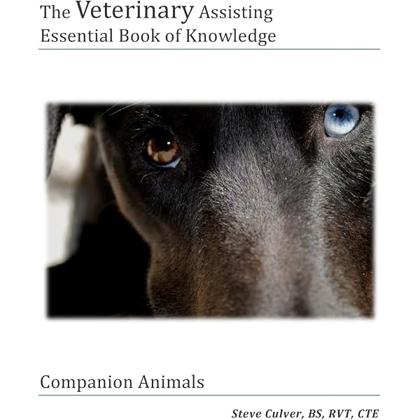 Current Veterinary Therapy X: Small Animal Practice: Robert W
